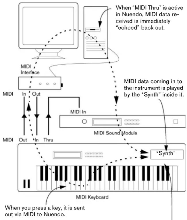 STEINBERG Nuendo 4 - Setting MIDI Thru and Local On/Off - 1