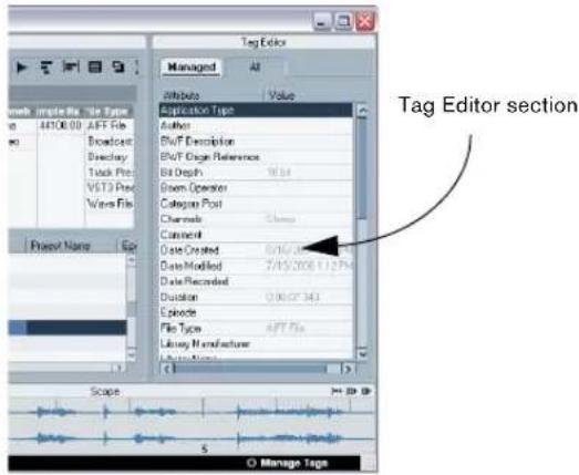 STEINBERG Nuendo 4 - Show the Tag Editor section. - 1