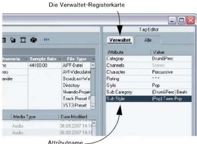 STEINBERG Nuendo 4 - Tags - 2