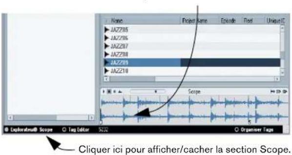 STEINBERG Nuendo 4 - Audition des media avec le Scope - 1