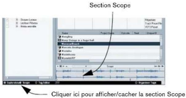 STEINBERG Nuendo 4 - Affichez la section Scope. - 1