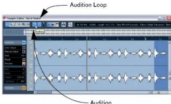 STEINBERG Nuendo 4 - Zoom in on the first bar. - 2