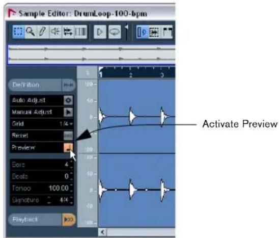 STEINBERG Nuendo 4 - Activate Preview. - 1