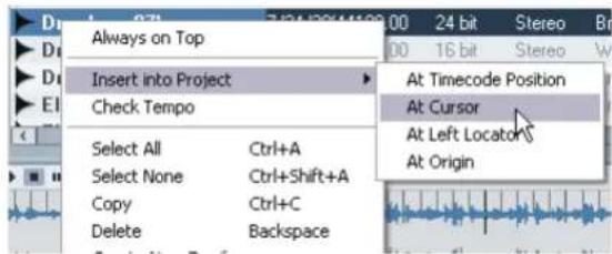 STEINBERG Nuendo 4 - Insert into Project - 1