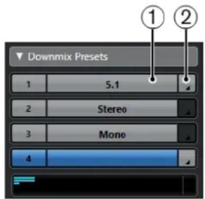 STEINBERG Nuendo 11 - Préroglages Downmix - 1