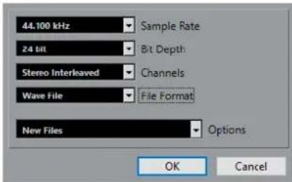 STEINBERG Nuendo 11 - Boite de dialogue Options de conversion - 1