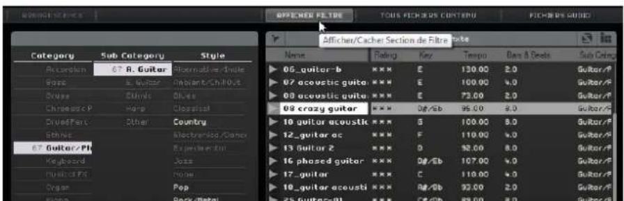 STEINBERG Sequel 3 - Filtrage par attributes - 1