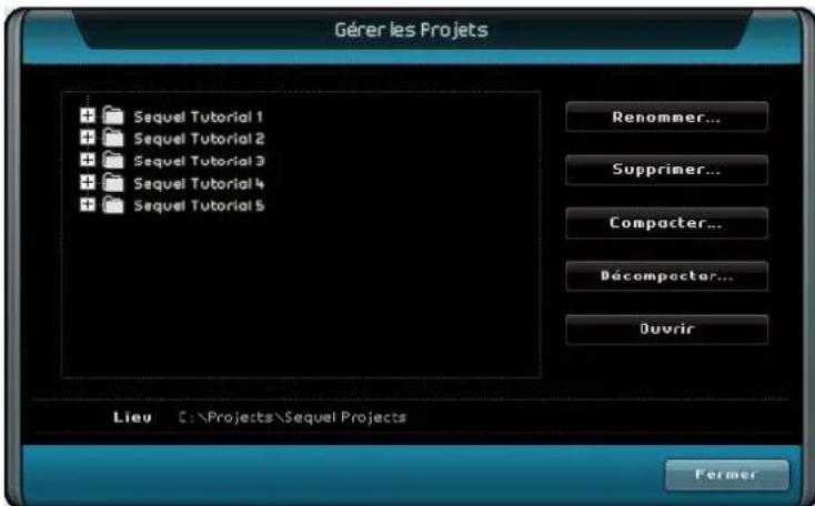 STEINBERG Sequel 3 - Gérer les Projets... - 1