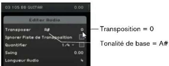STEINBERG Sequel 3 - Transposition intelligente - 3