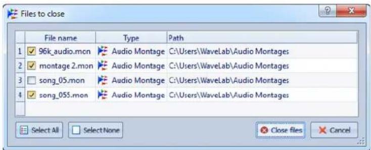 STEINBERG Wavelab Elements 8 - Boîte de dialogue Fichiers à fermer - 1