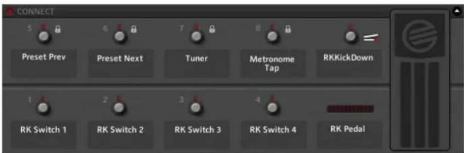 NATIVE INSTRUMENTS Guitar Rig 5 - Rig Kontrol Virtual - 1