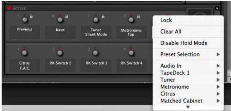 NATIVE INSTRUMENTS Guitar Rig 5 - Menu contextual - 1