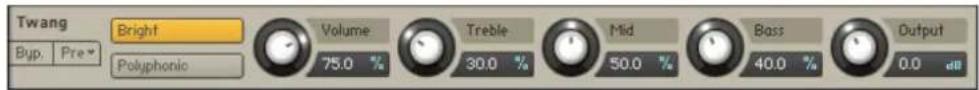 NATIVE INSTRUMENTS Kontakt 5 - Twang - 1