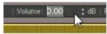 NATIVE INSTRUMENTS Kontakt 5 - Champs de valeur - 1