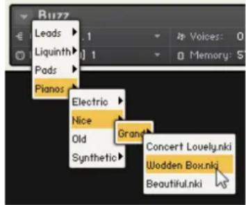 NATIVE INSTRUMENTS Kontakt 5 - Charger des objets du catalogue - 1