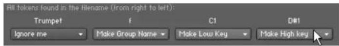 NATIVE INSTRUMENTS Kontakt 5 - Assigner les Samples automatiquement - 2