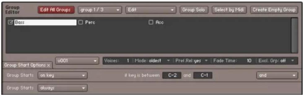NATIVE INSTRUMENTS Kontakt 5 - Le Group Editor - 1