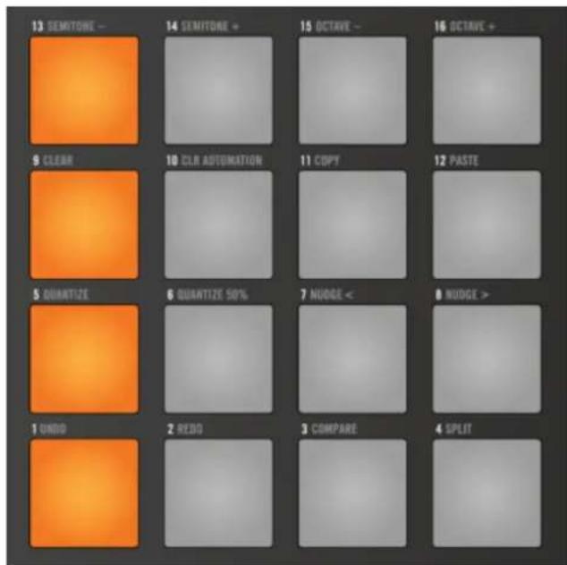 NATIVE INSTRUMENTS Maschine 2.0 MK1 - Utiliser le mode Step avec le contrôleur MASCHINE - 2
