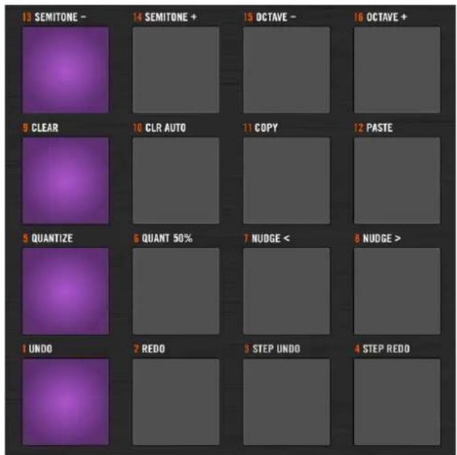 NATIVE INSTRUMENTS Maschine 2.0 MK2 - Utiliser le mode Step avec le contrôleur MASCHINE - 2