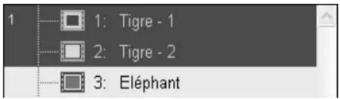 1: Tigre - 1 2: Tigre - 2 3: Eléphant