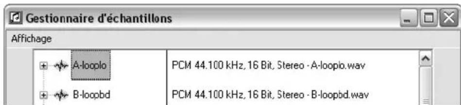 Gestionnaire d'échantillons Affichage A-looplo B-loopbd PCM 44.100 kHz, 16 Bit, Stereo - A-loopb.wav PCM 44.100 kHz, 16 Bit, Stereo - B-loopbd.wav