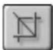 Avid Instant CD DVD - Edition d'images fixes - 5