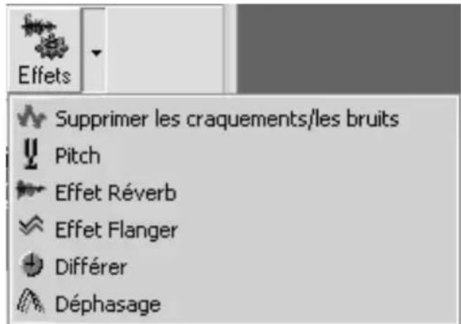 Effets Supprimer les craquements/les bruits Pitch Effet Réverb Effet Flanger Différer Déphasage