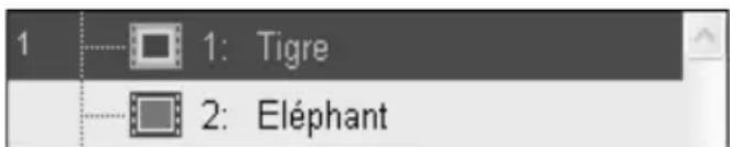 1: Tigre 2: Eléphant