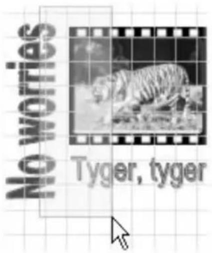 Avid Instant CD DVD - Groupement d'objets - 1
