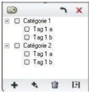 Catégorie 1 Tag 1 a Tag 1 b Catégorie 2 Tag 1 a Tag 1 b