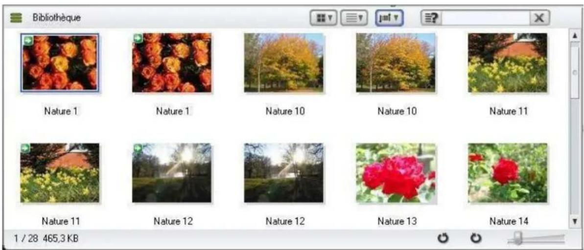 Bibliothèque Nature 1 Nature 1 Nature 10 Nature 10 Nature 11 Nature 11 Nature 12 Nature 12 Nature 13 Nature 14 1 / 28 465,3 KB
