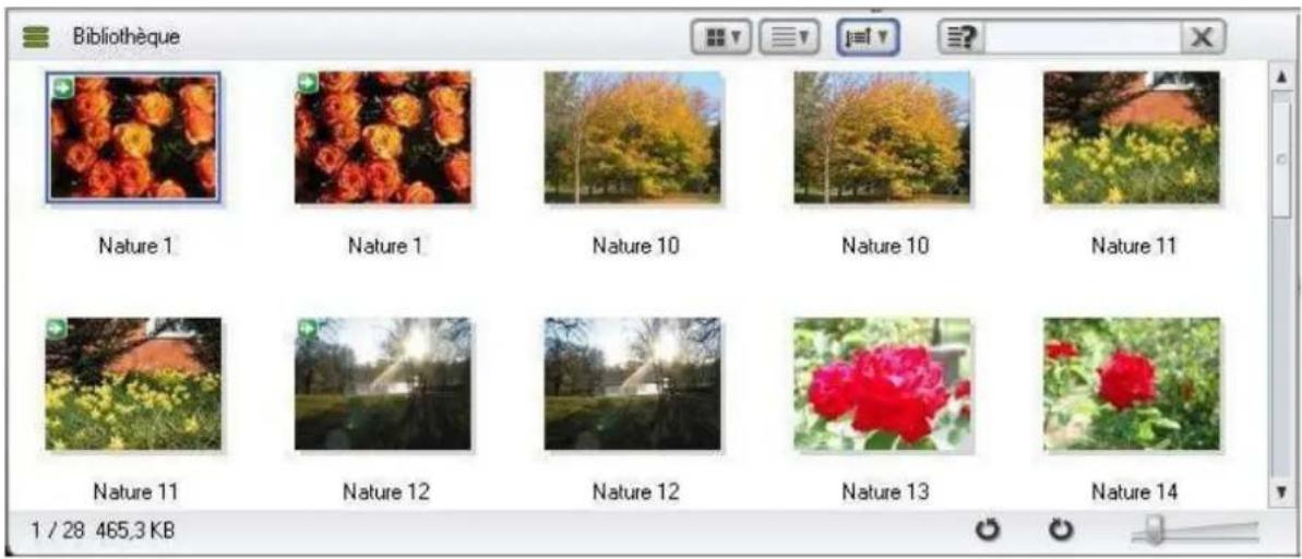 Bibliothèque Nature 1 Nature 1 Nature 10 Nature 10 Nature 11 Nature 11 Nature 12 Nature 12 Nature 13 Nature 14 1 / 28 465,3 KB