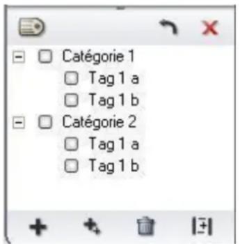 Catégorie 1 Tag 1 a Tag 1 b Catégorie 2 Tag 1 a Tag 1 b