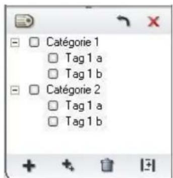 Catégorie 1 Tag 1 a Tag 1 b Catégorie 2 Tag 1 a Tag 1 b