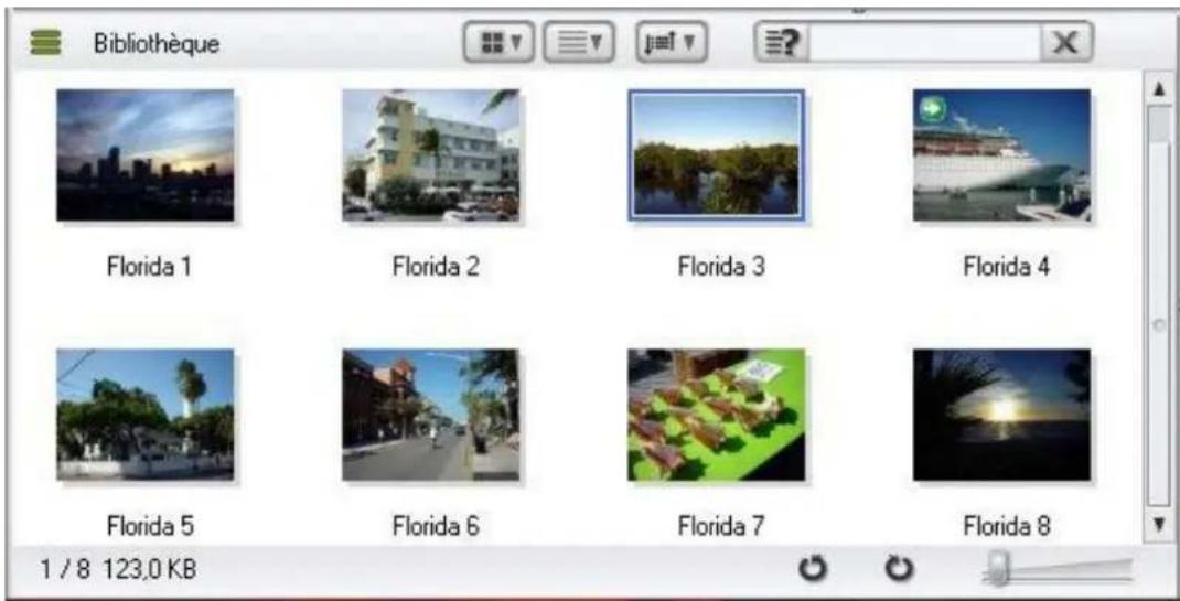 Bibliothèque Florida 1 Florida 2 Florida 3 Florida 4 Florida 5 Florida 6 Florida 7 Florida 8 1 / 8 123,0 KB
