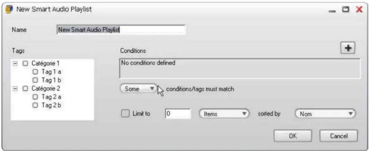 New Smart Audio Playlist Name New Smart Audio Playlist Tags Conditions □ Catégorie 1 □ Tag 1 a □ Tag 1 b □ Catégorie 2 □ Tag 2 a □ Tag 2 b No conditions defined Some conditions/tags must match □ Limit to 0 Items sorted by Nom OK Cancel