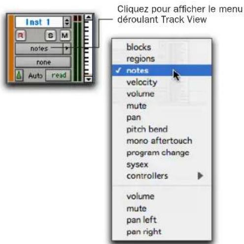Avid Pro Tools 7.0 - Pour définir le mode de visualisation de la piste : - 4
