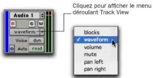 Avid Pro Tools 7.0 - Pour définir le mode de visualisation de la piste : - 1
