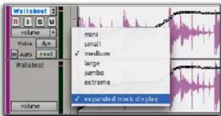 Avid Pro Tools 7.0 - Pour activer l'affichage étendu de la piste : - 1