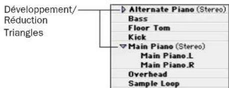 Avid Pro Tools 7.0 - Pistes stéréo et multicanaux dans la liste des régions - 1