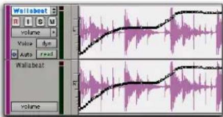 Avid Pro Tools 7.0 - Affichage étendu de piste - 2