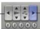 Avid Pro Tools 7.0 - Boutons de zoom avant/arrière horizontal - 1