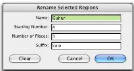 Avid Pro Tools 7.0 - Pour définir les options de désignation automatique d'une région : - 1