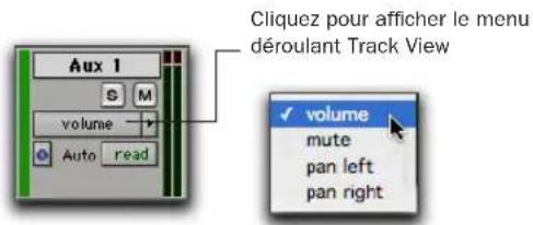 Avid Pro Tools 7.0 - Pour définir le mode de visualisation de la piste : - 3