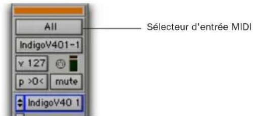 Avid Pro Tools 7.0 - Configuration de pistes MIDI ou de pistes d'instrument pour l'enregistrement - 3