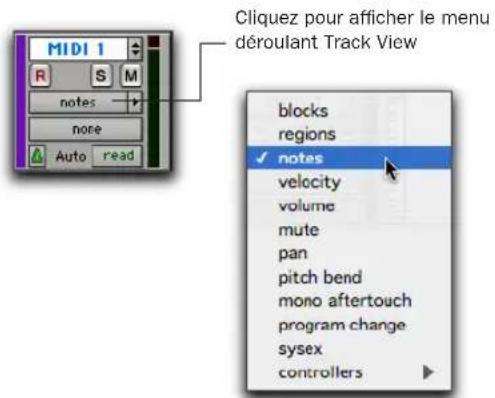Avid Pro Tools 7.0 - Pour définir le mode de visualisation de la piste : - 2