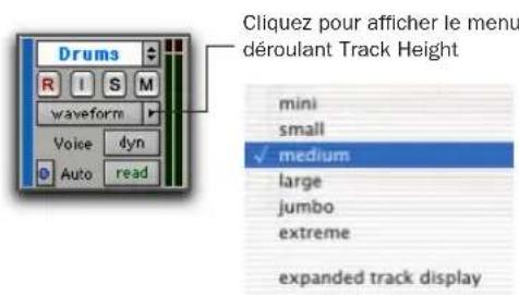 Avid Pro Tools 7.0 - Pour définir la hauteur de la piste : - 1