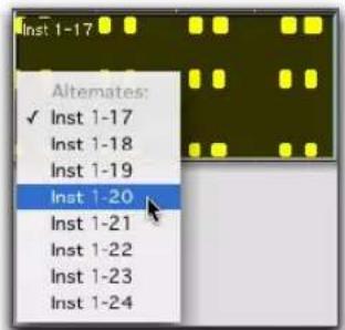 Inst 1-17 Alternates: ✓ Inst 1-17 Inst 1-18 Inst 1-19 Inst 1-20 Inst 1-21 Inst 1-22 Inst 1-23 Inst 1-24