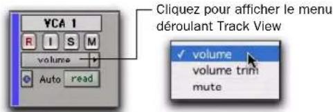 YCA 1 R I S M volume Auto read Cliquez pour afficher le menu déroulant Track View ✓ volume volume trim mute