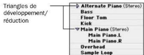 Triangles de développement/ réduction Alternate Piano (Stereo) Bass Floor Tom Kick Main Piano (Stereo) Main Piano.L Main Piano.R Overhead Sample Loop